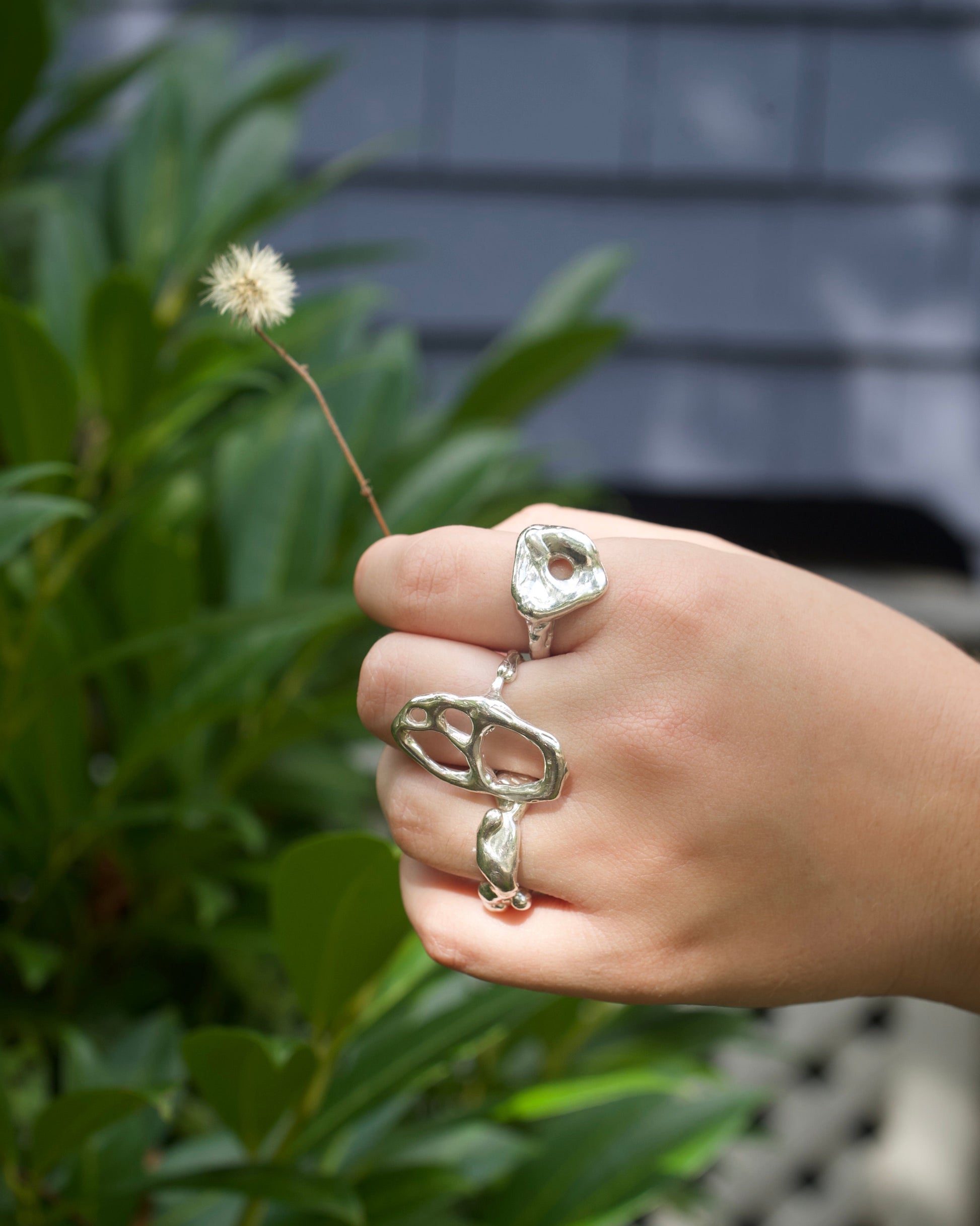 Cheerio Ring v3
